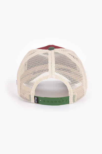 CASQUETTE MOTIF SHELTER