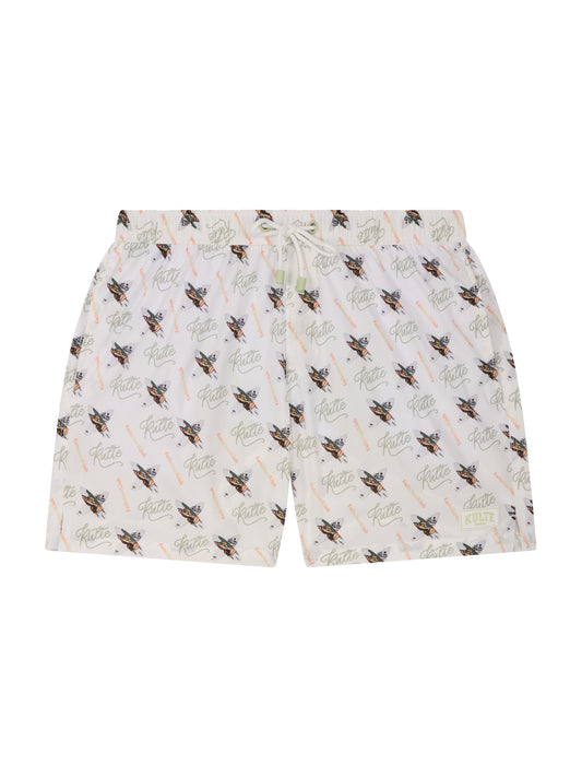 THE CALIFORNIA MADONNA MOTIF