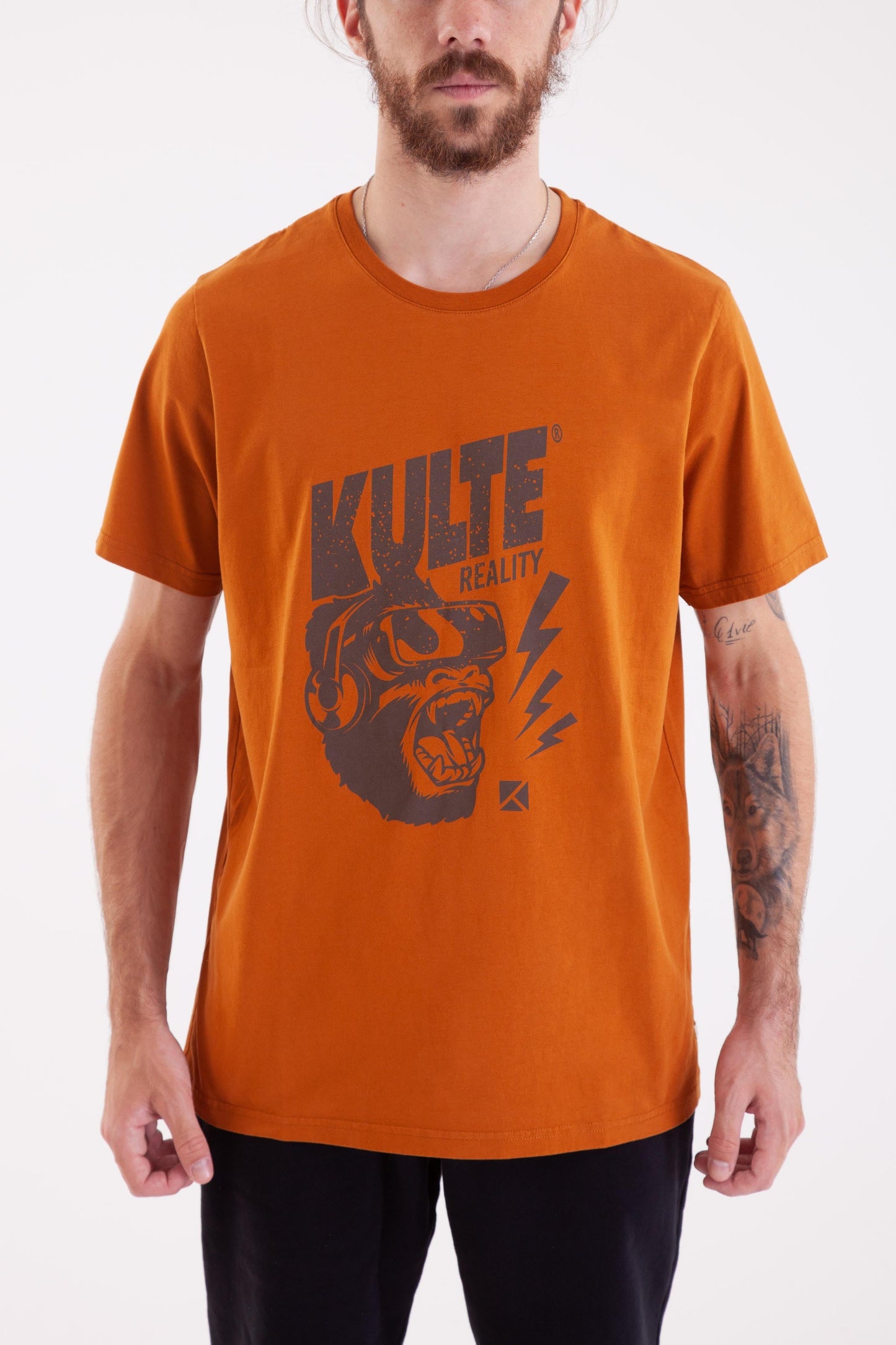 TS REALITY OCRE