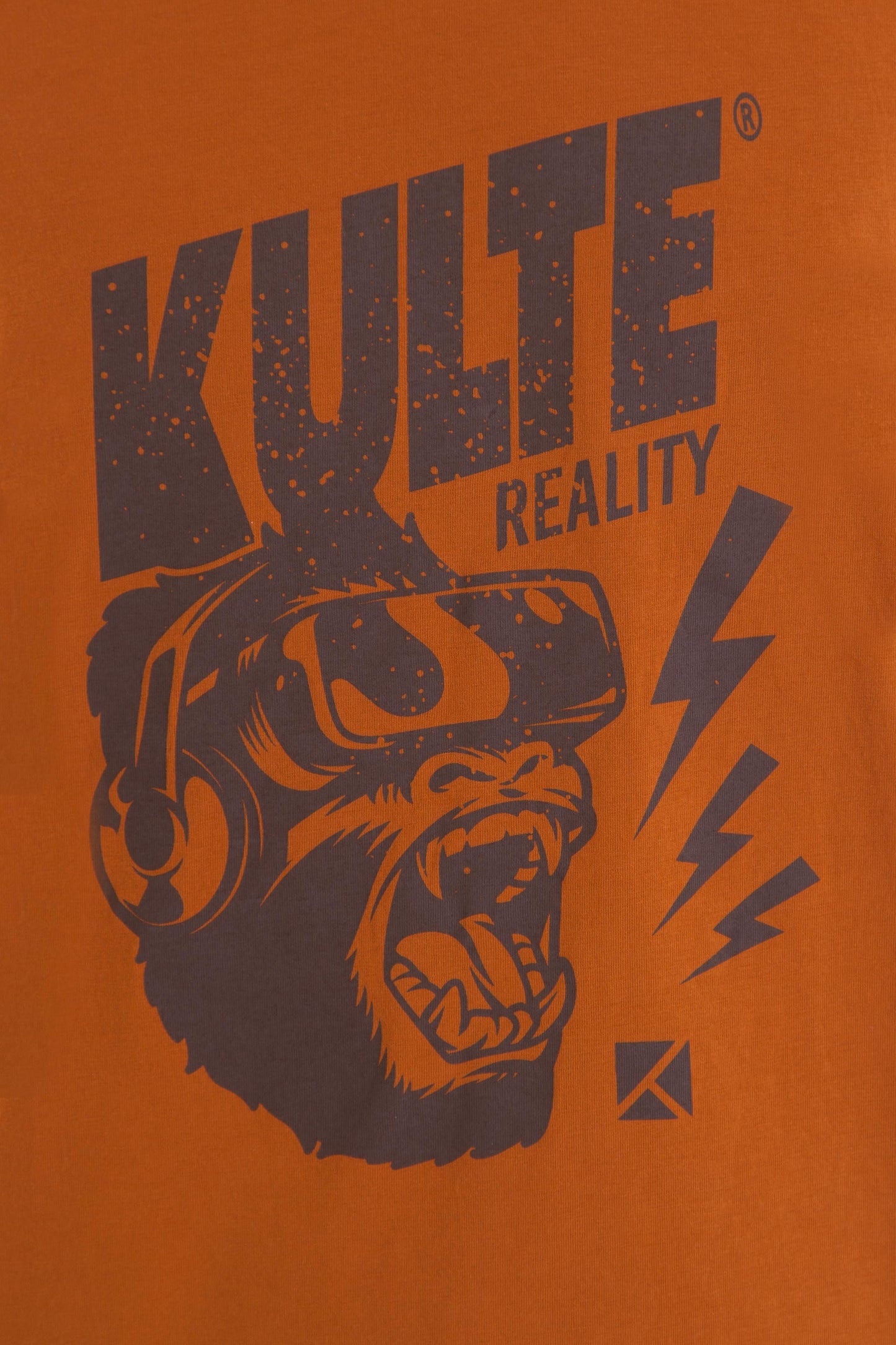 TS REALITY OCRE