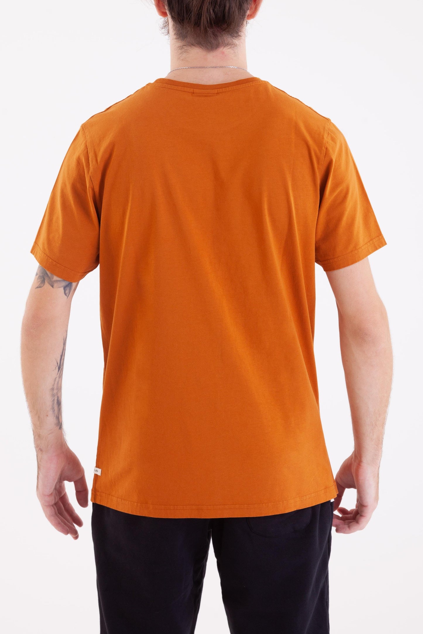 TS REALITY OCRE